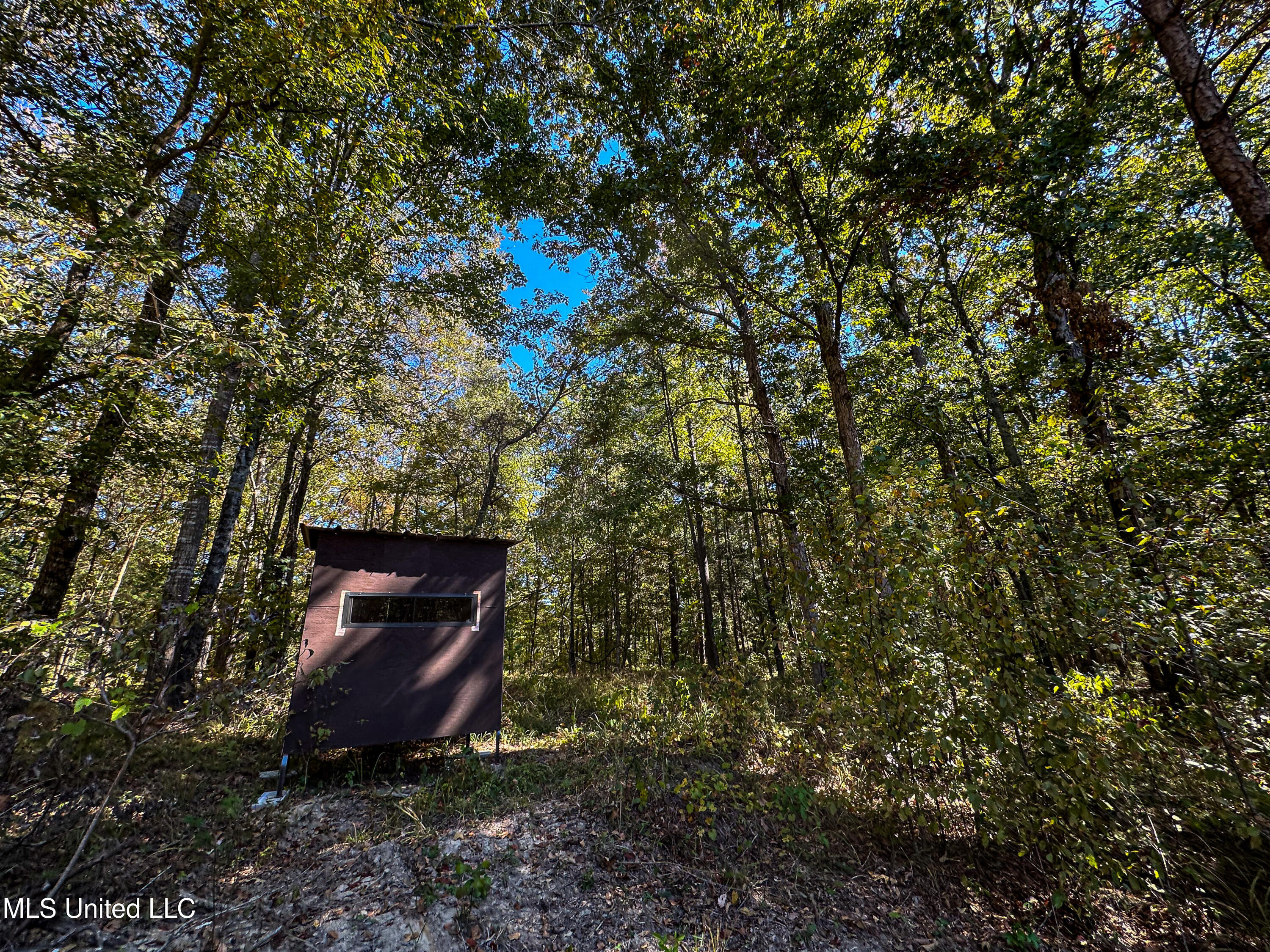106 Crockrell Road Lexington, MS 39095 - Photo 68 of 185 IMG_0377