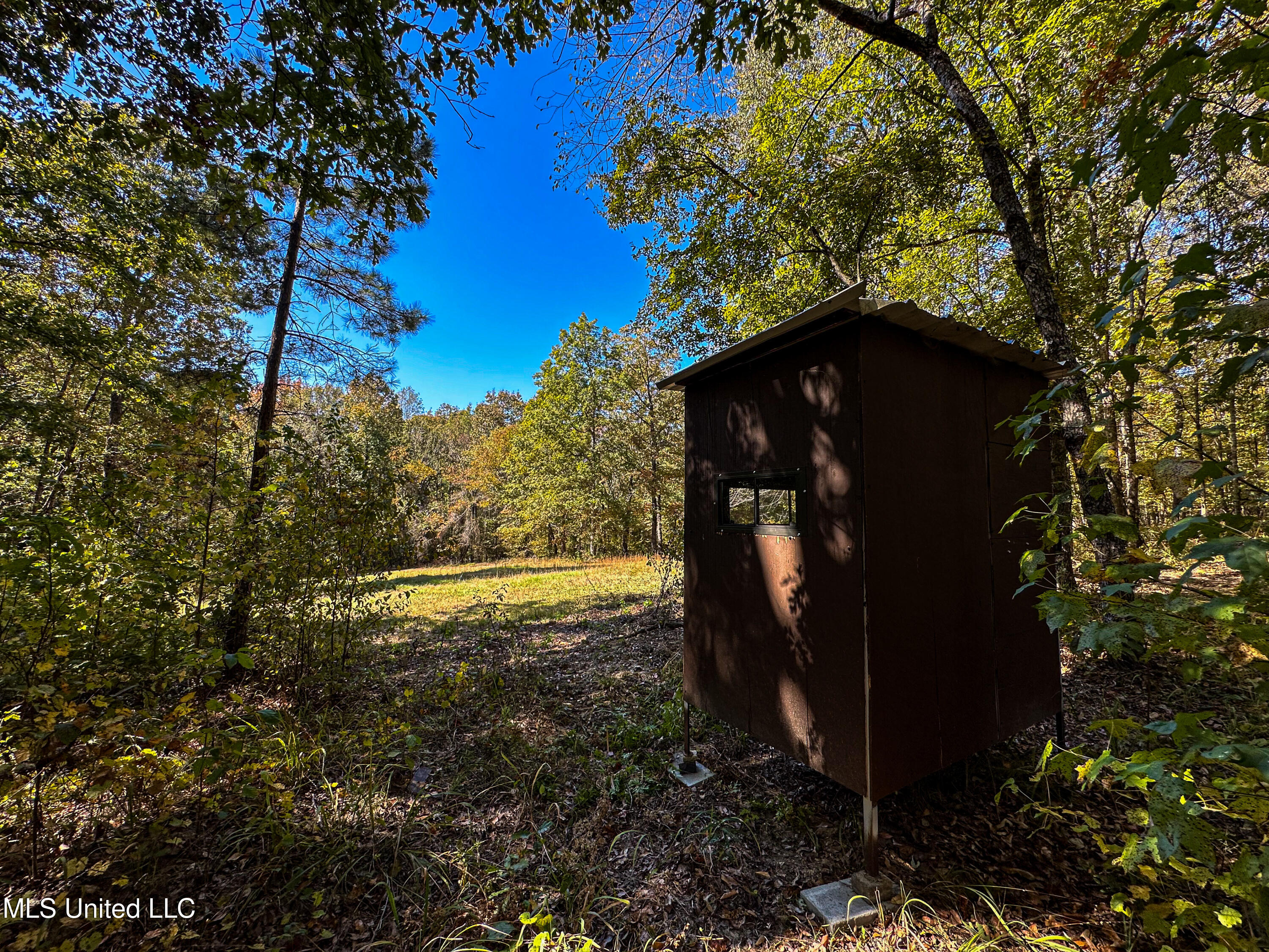 106 Crockrell Road Lexington, MS 39095 - Photo 70 of 185 IMG_0380