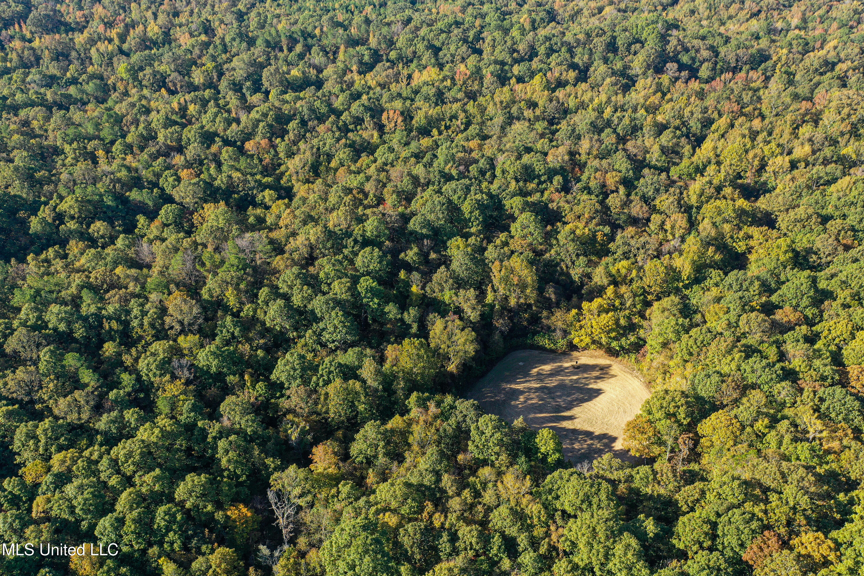106 Crockrell Road Lexington, MS 39095 - Photo 71 of 185 DJI_0191
