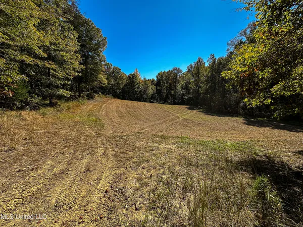 $650,000 | 106 Crockrell Road, Lexington, MS 39095