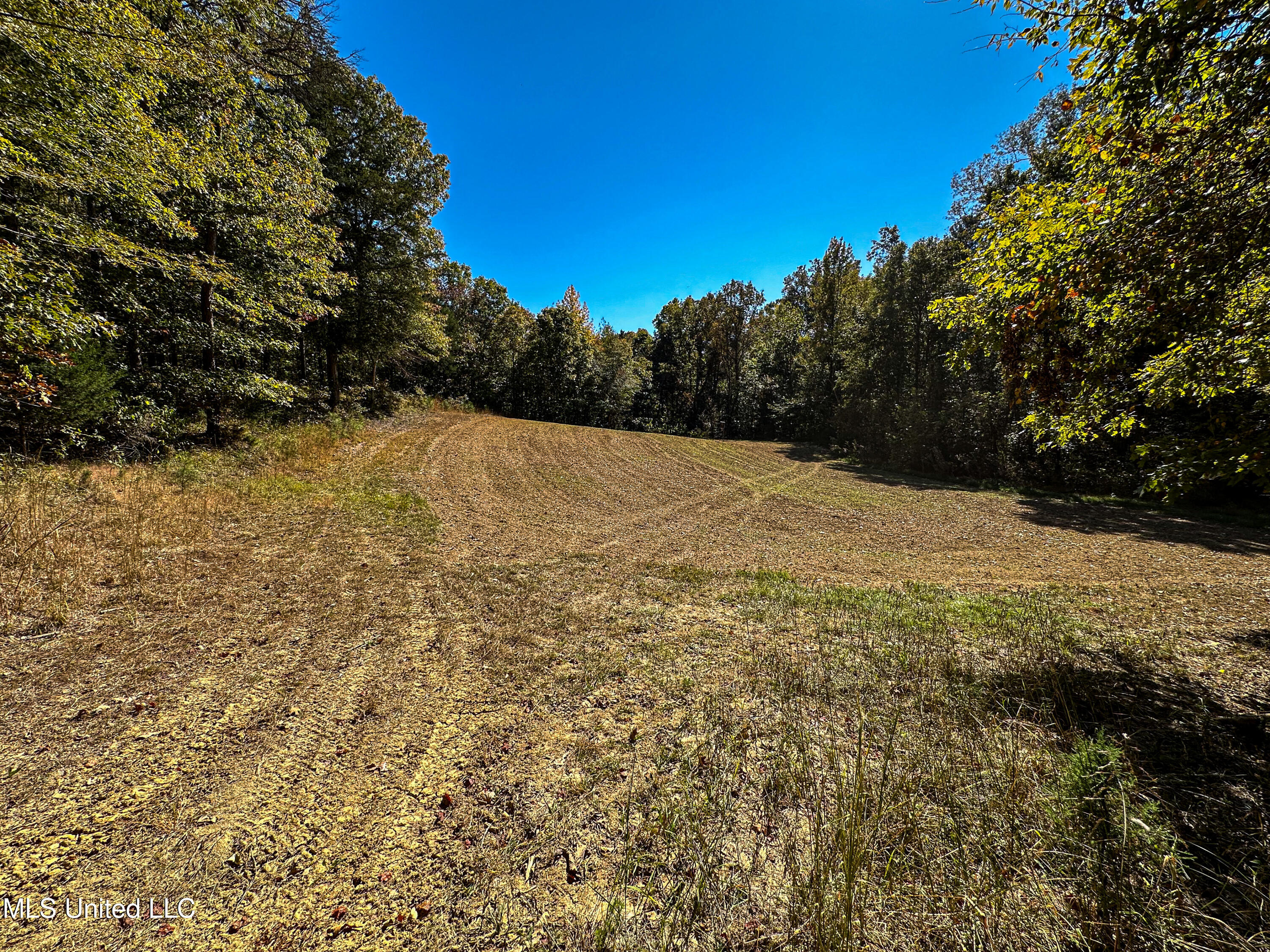 106 Crockrell Road Lexington, MS 39095 - Photo 72 of 185 IMG_0383