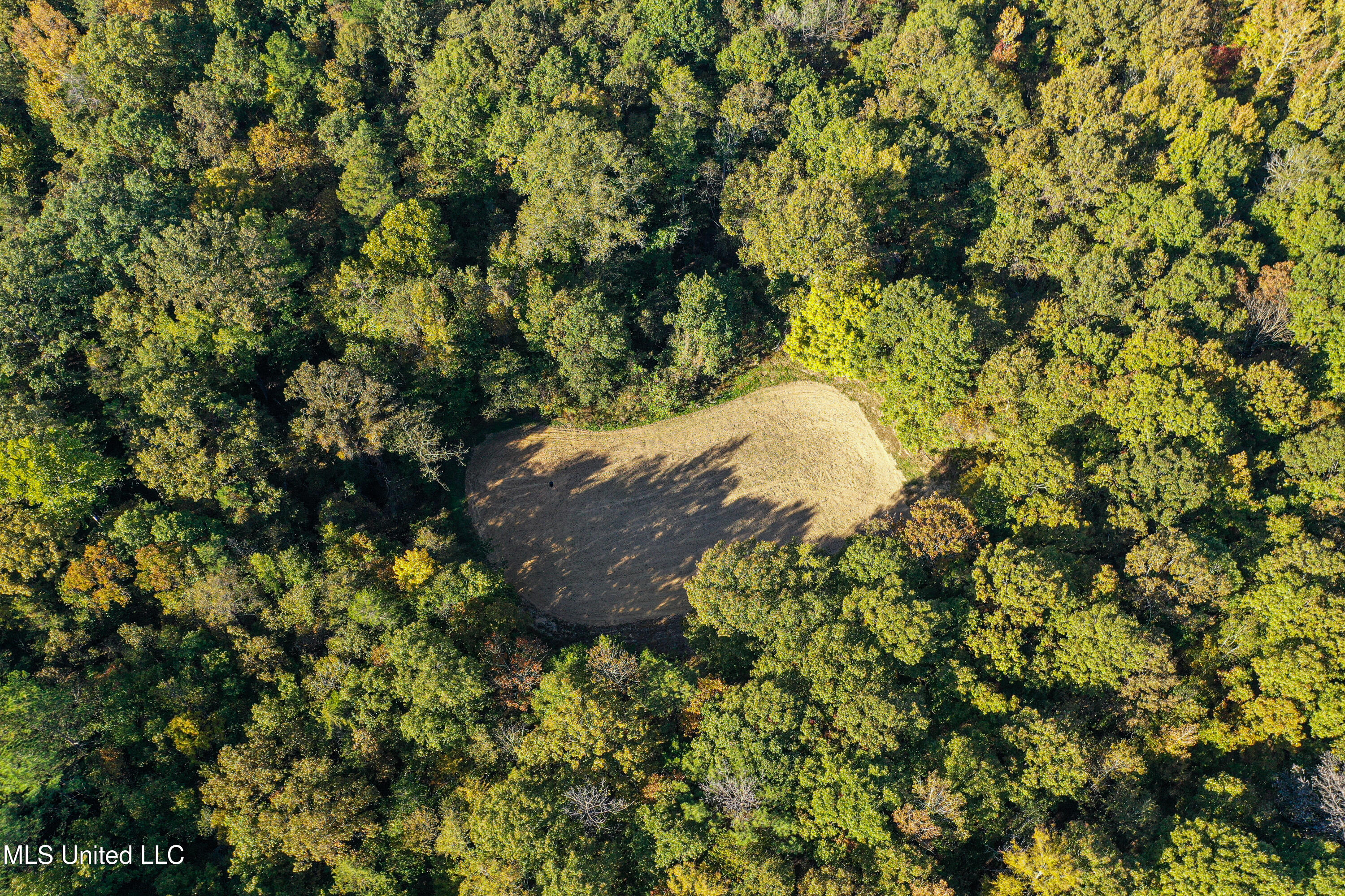 106 Crockrell Road Lexington, MS 39095 - Photo 73 of 185 DJI_0192