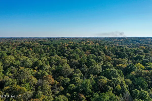 $650,000 | 106 Crockrell Road, Lexington, MS 39095