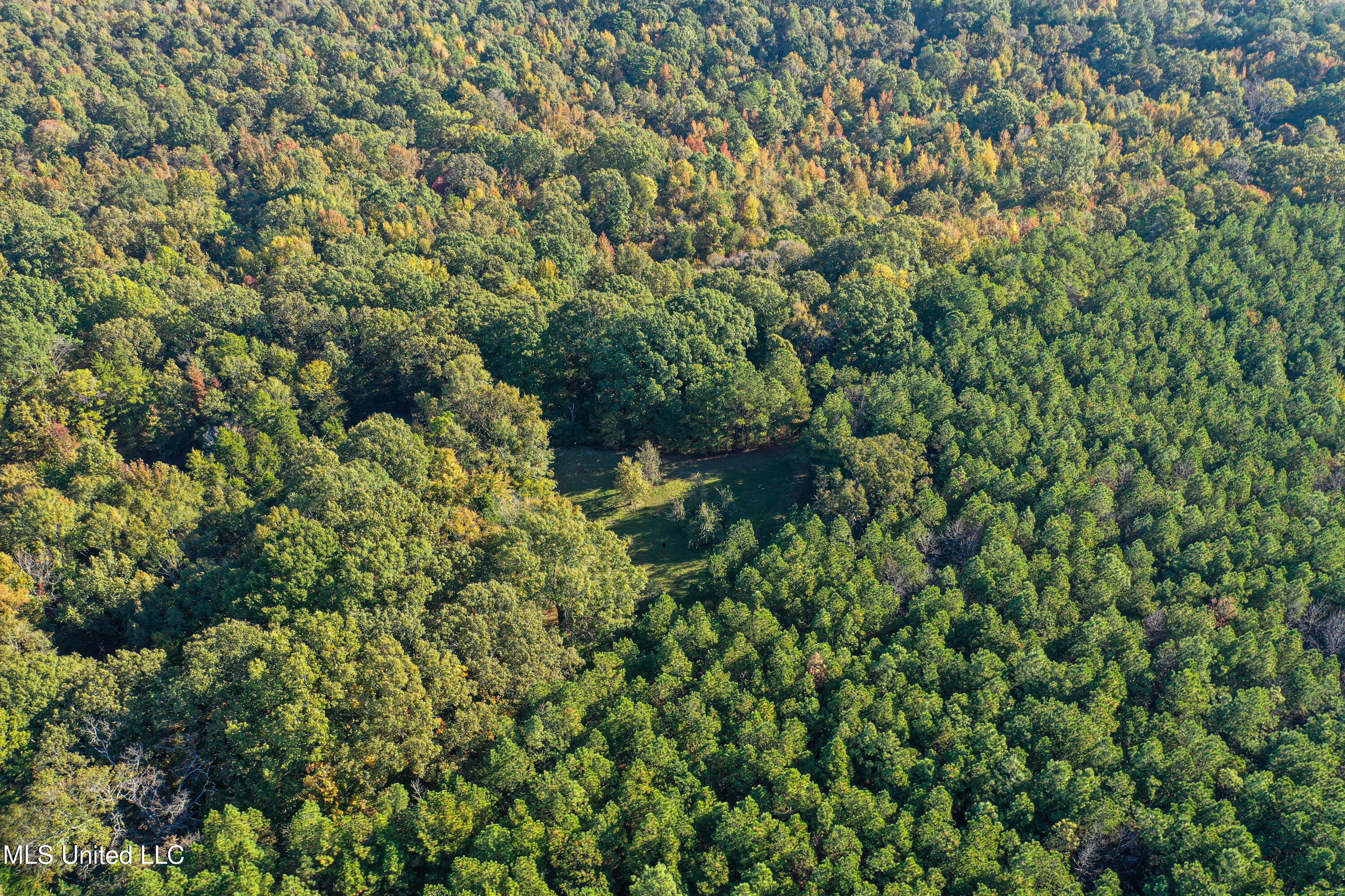 106 Crockrell Road Lexington, MS 39095 - Photo 76 of 185 DJI_0200