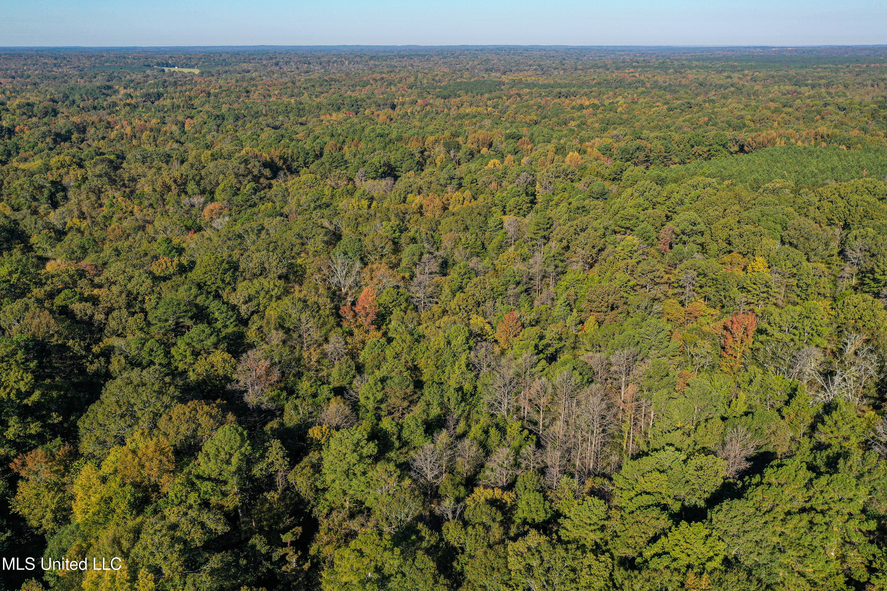 106 Crockrell Road Lexington, MS 39095 - Photo 77 of 185 DJI_0214