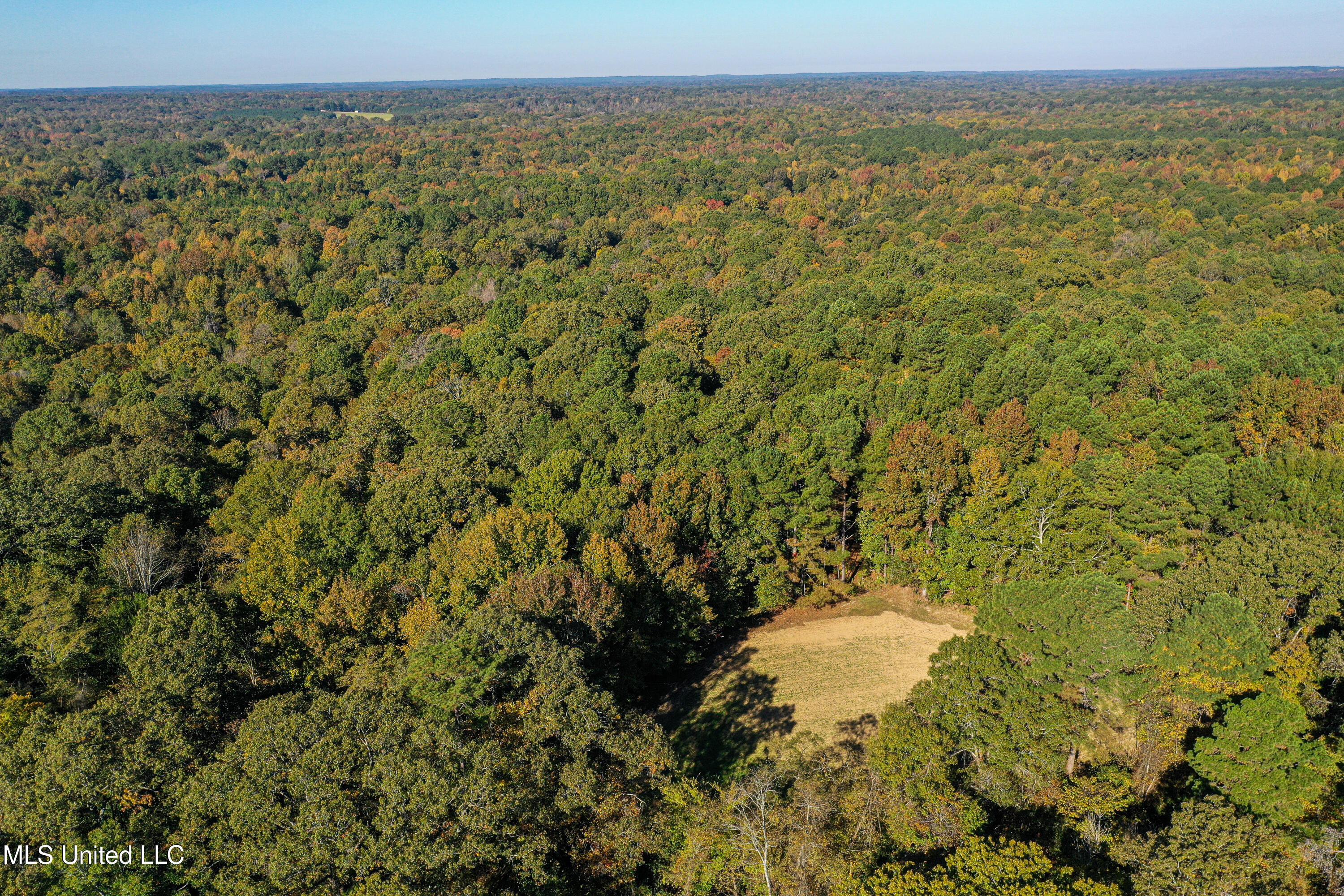 106 Crockrell Road Lexington, MS 39095 - Photo 78 of 185 DJI_0215