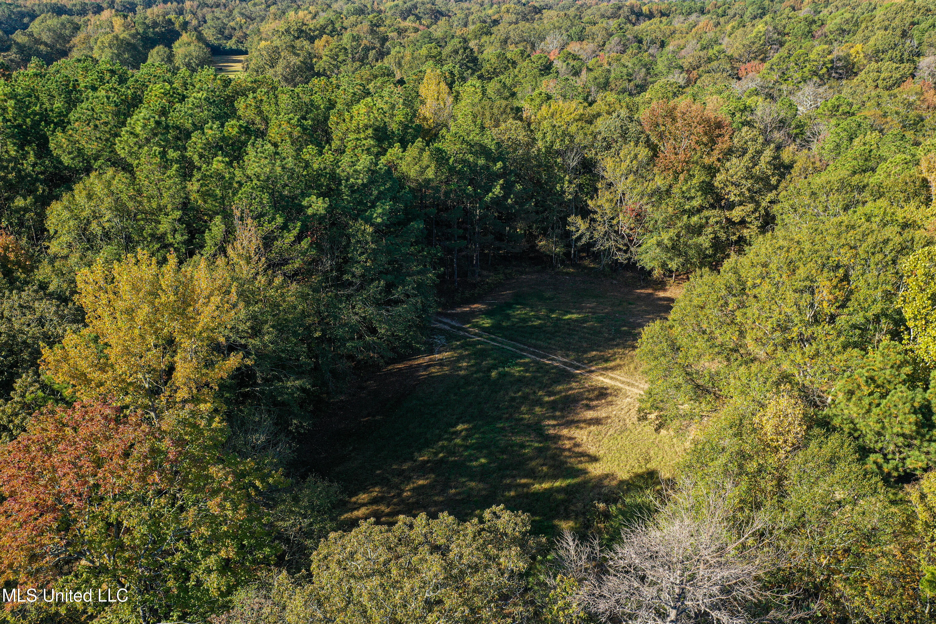 106 Crockrell Road Lexington, MS 39095 - Photo 79 of 185 DJI_0220