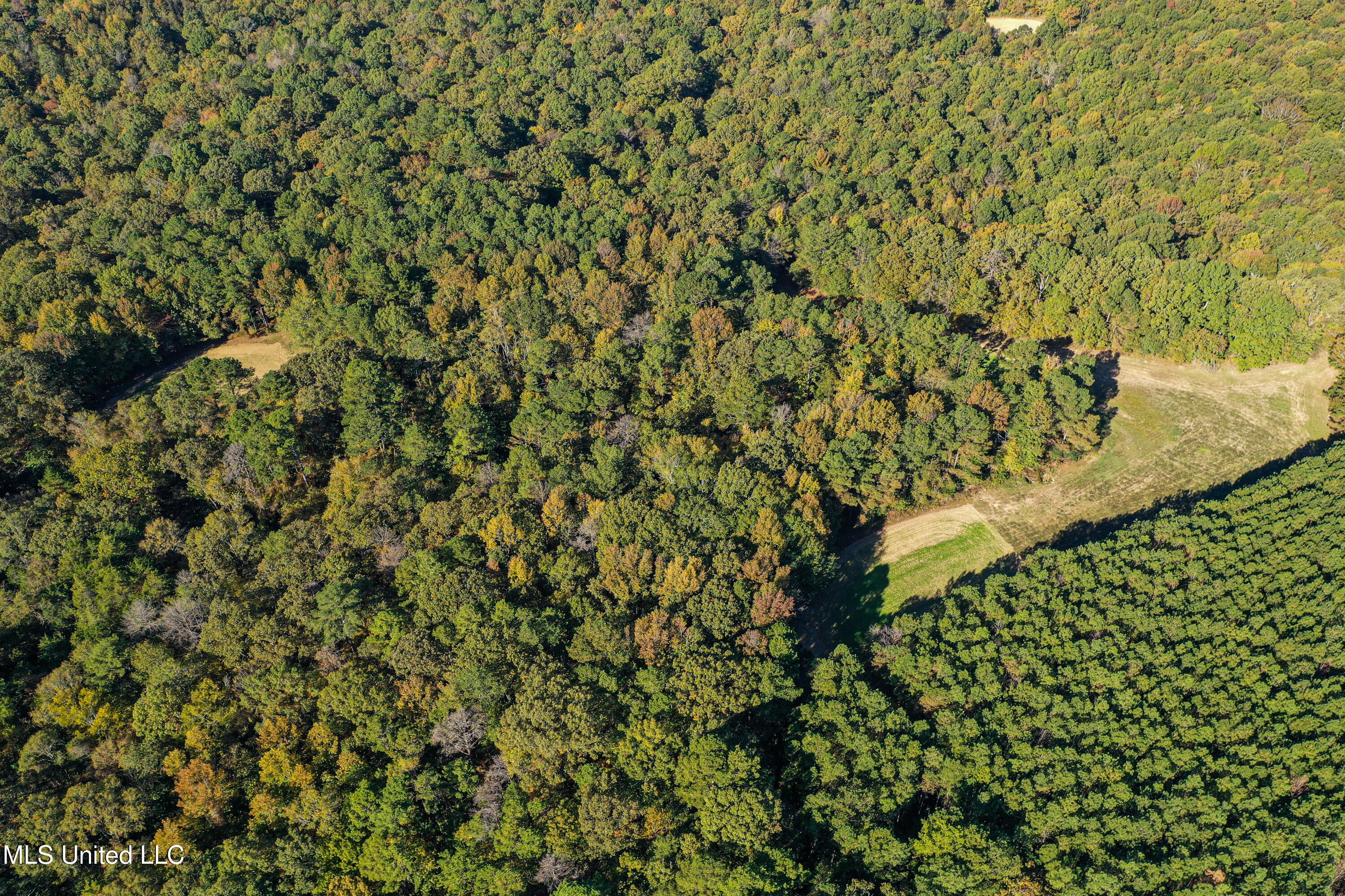 106 Crockrell Road Lexington, MS 39095 - Photo 80 of 185 DJI_0222