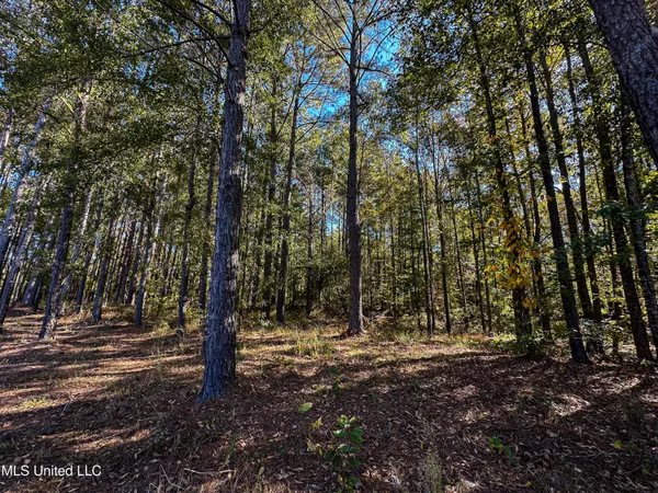 $650,000 | 106 Crockrell Road, Lexington, MS 39095