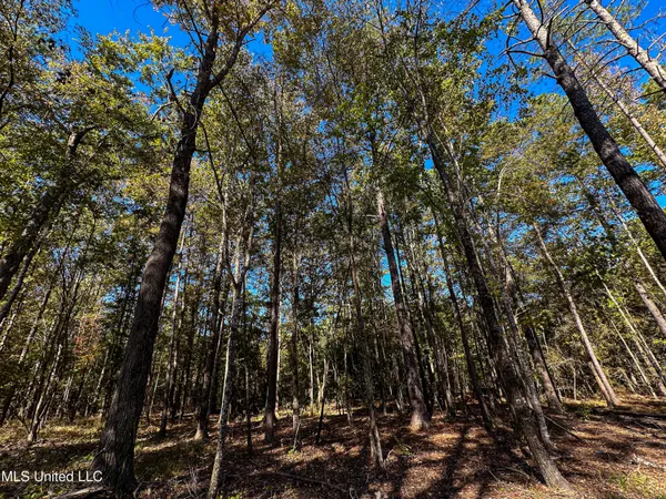 $650,000 | 106 Crockrell Road, Lexington, MS 39095