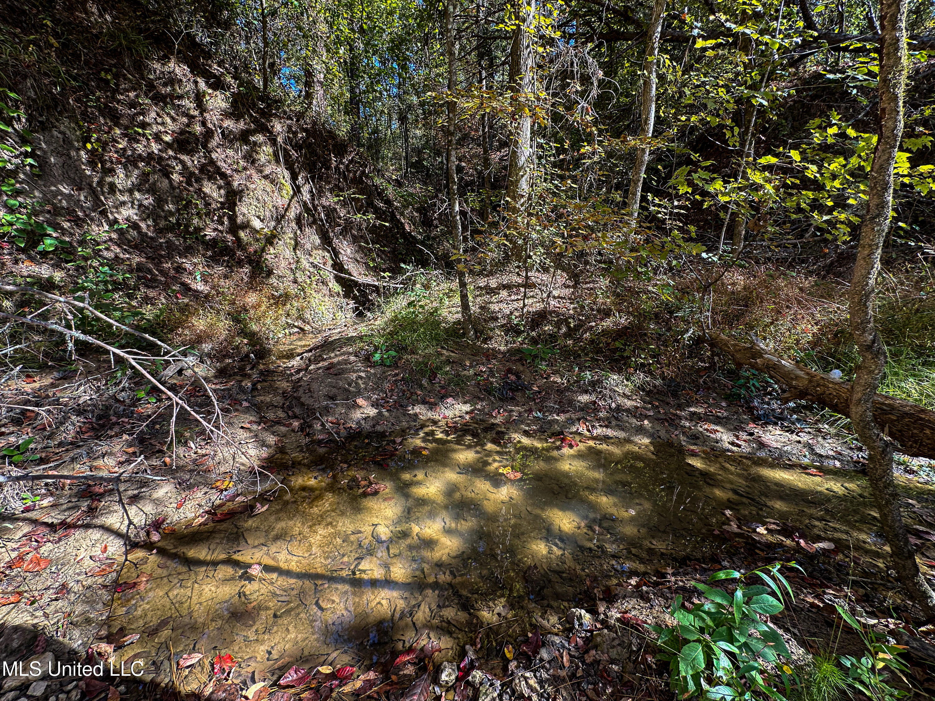 106 Crockrell Road Lexington, MS 39095 - Photo 84 of 185 IMG_0346