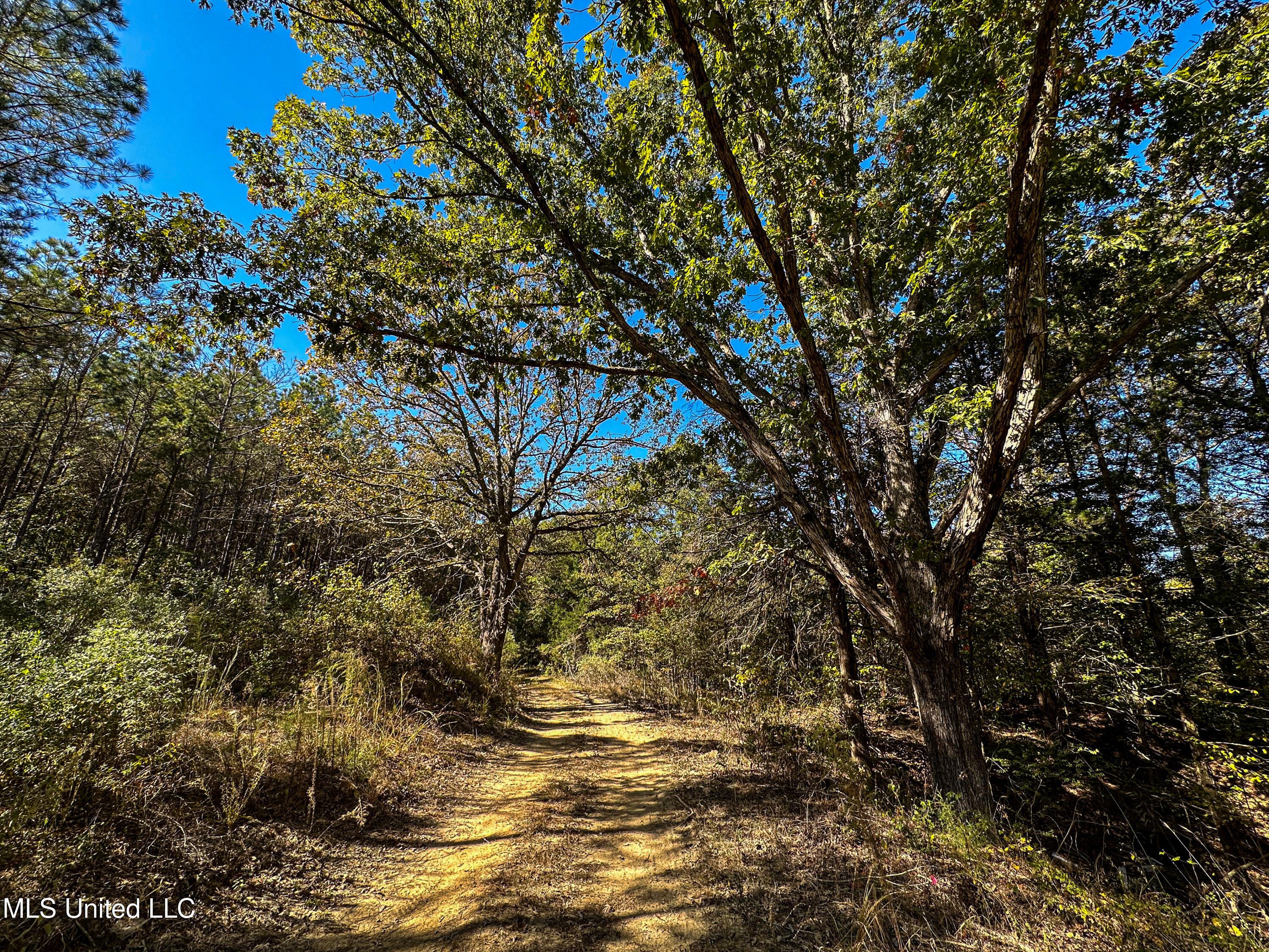 106 Crockrell Road Lexington, MS 39095 - Photo 85 of 185 IMG_0347