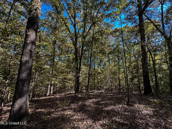 $650,000 | 106 Crockrell Road, Lexington, MS 39095