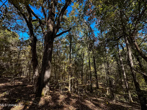 $650,000 | 106 Crockrell Road, Lexington, MS 39095