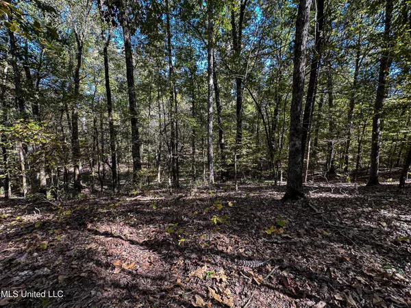 $650,000 | 106 Crockrell Road, Lexington, MS 39095