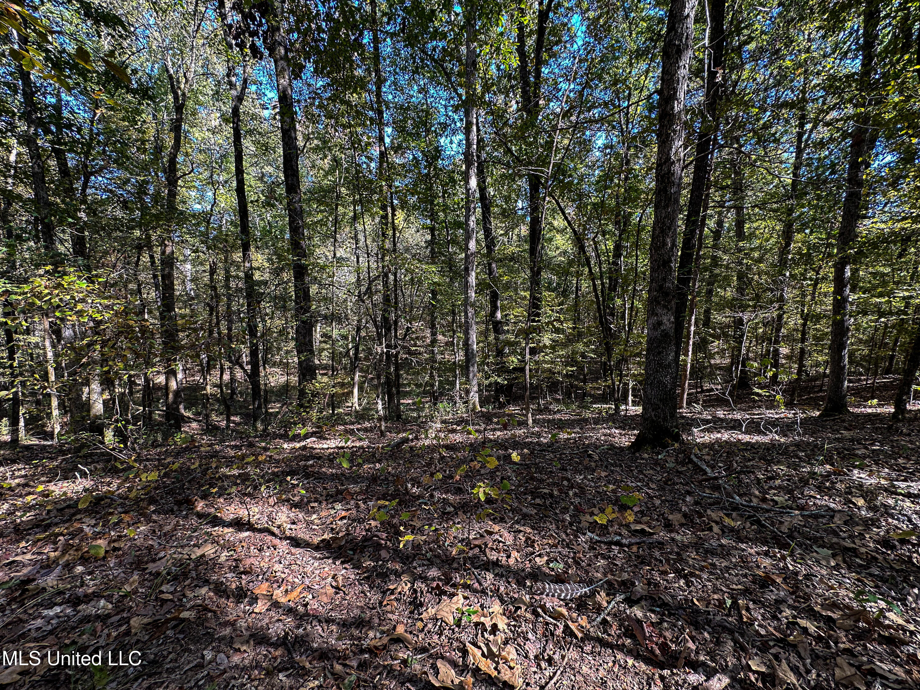 106 Crockrell Road Lexington, MS 39095 - Photo 88 of 185 IMG_0353