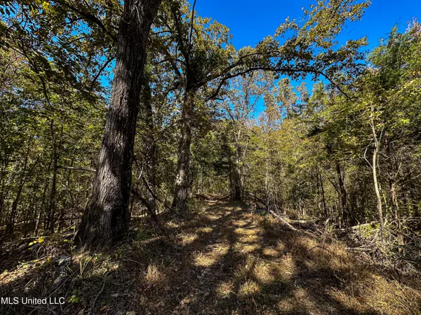 $650,000 | 106 Crockrell Road, Lexington, MS 39095