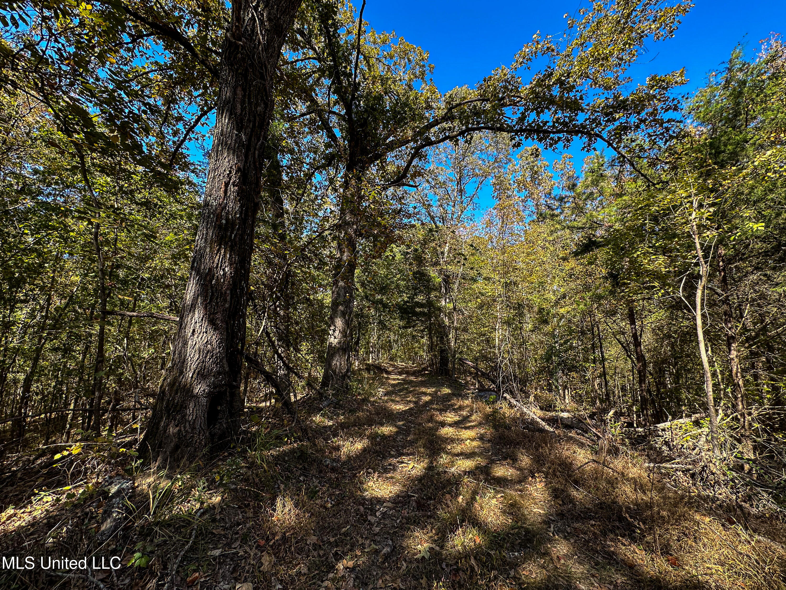 106 Crockrell Road Lexington, MS 39095 - Photo 90 of 185 IMG_0361