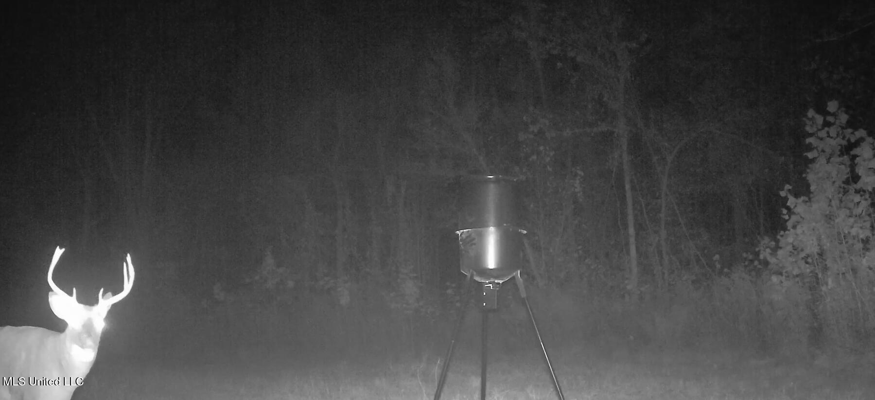 106 Crockrell Road Lexington, MS 39095 - Photo 9 of 185 Screenshot 2024-10-29 103842