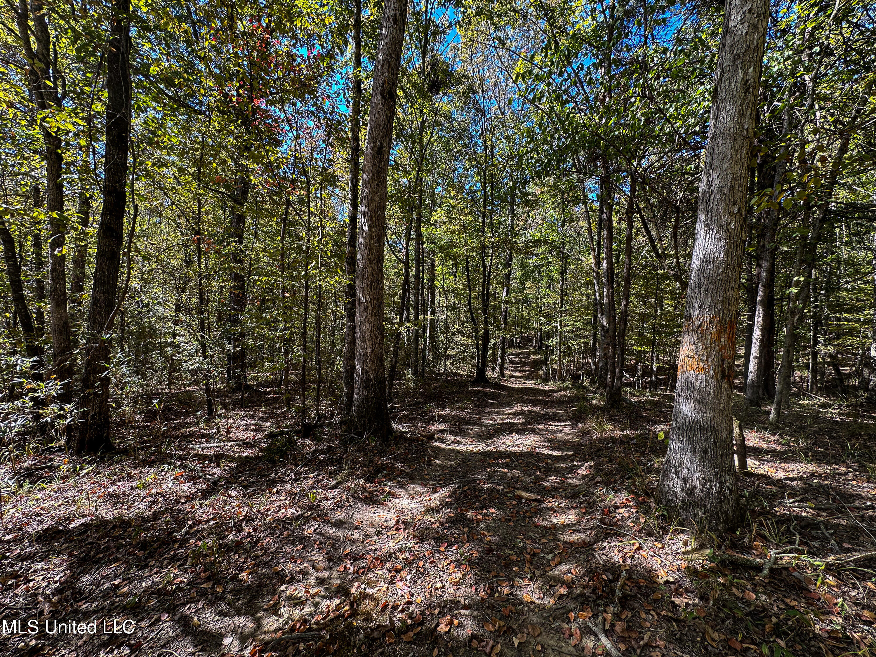 106 Crockrell Road Lexington, MS 39095 - Photo 91 of 185 IMG_0363