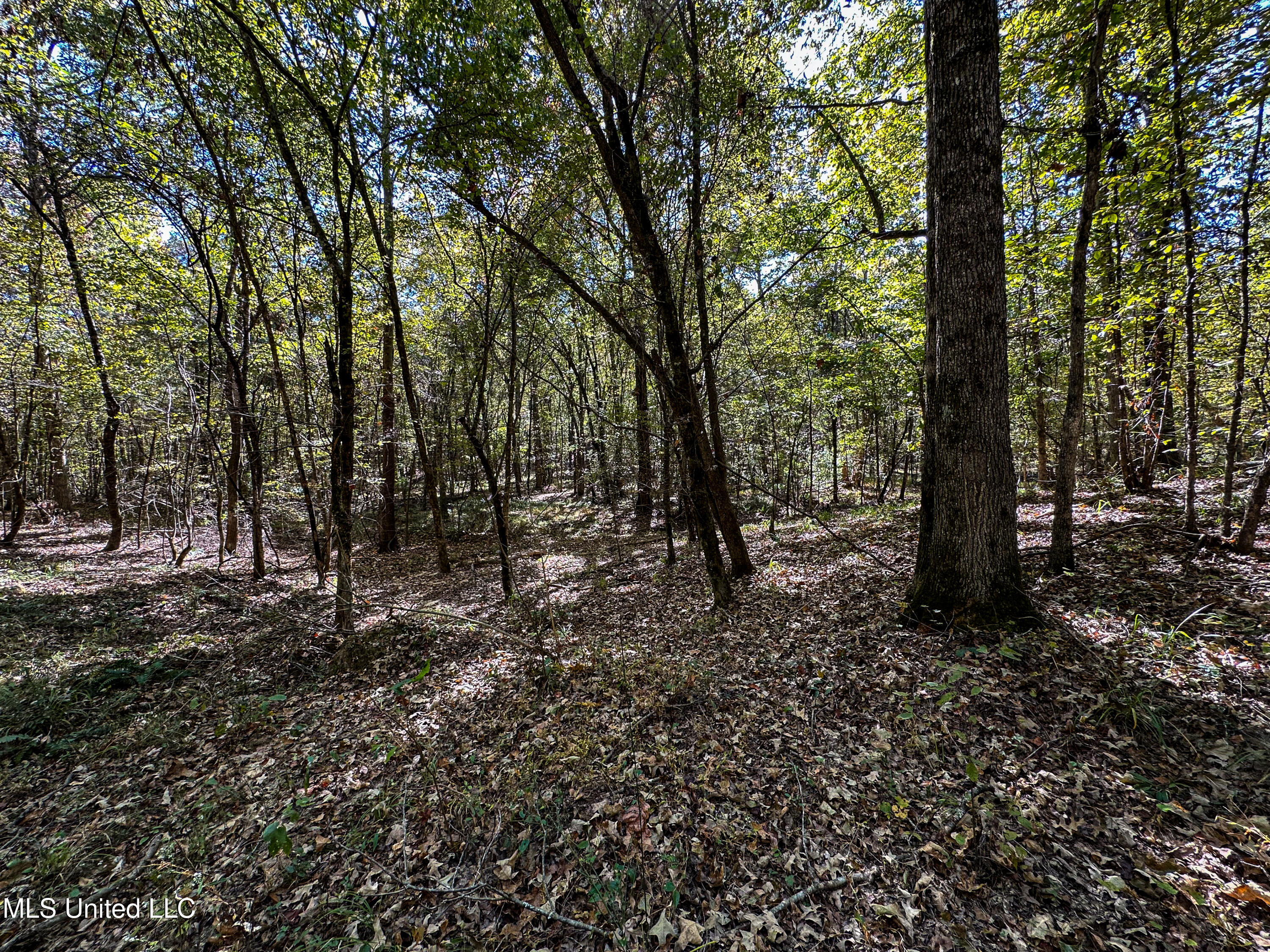 106 Crockrell Road Lexington, MS 39095 - Photo 92 of 185 IMG_0364