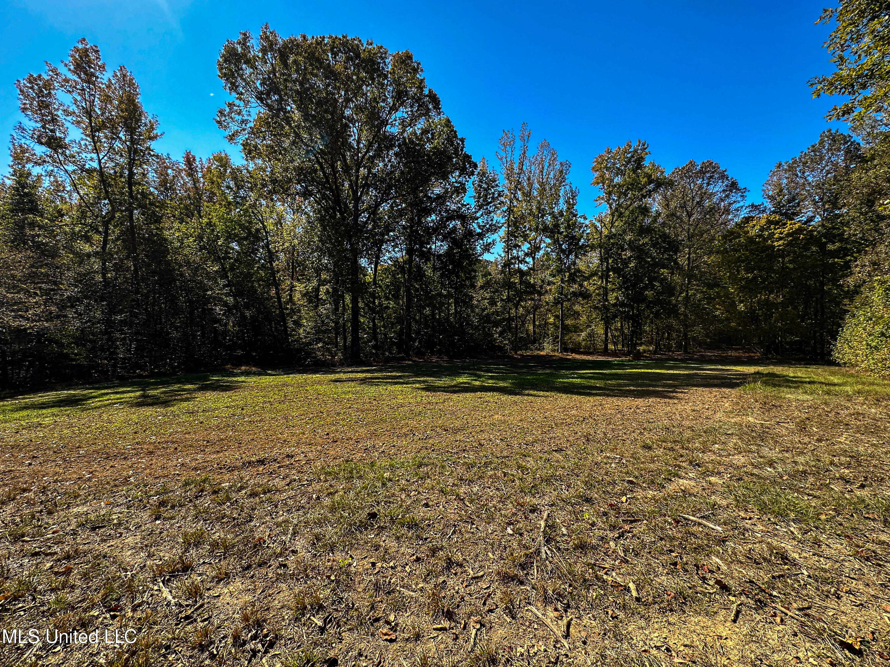 106 Crockrell Road Lexington, MS 39095 - Photo 93 of 185 IMG_0365