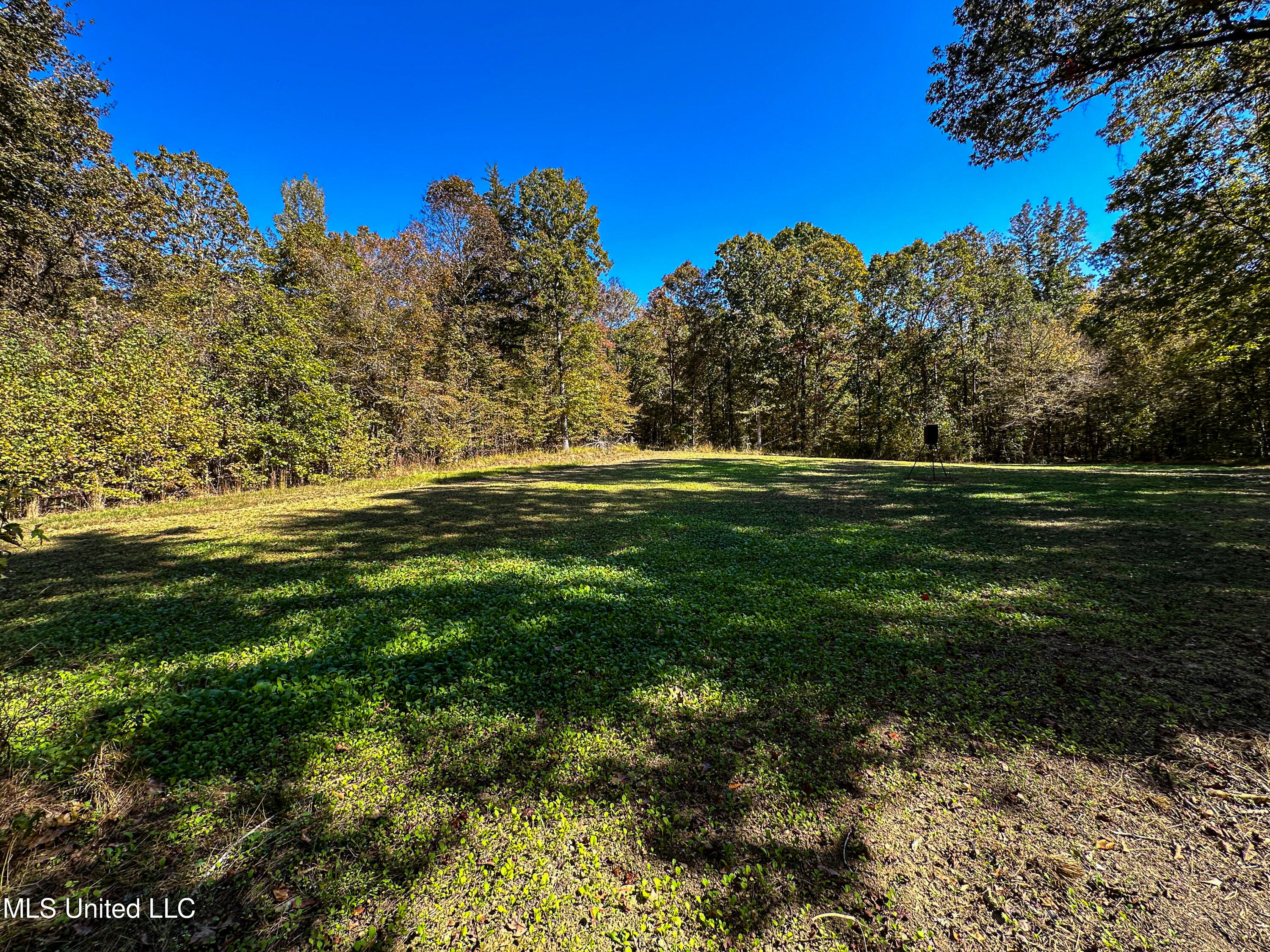 106 Crockrell Road Lexington, MS 39095 - Photo 94 of 185 IMG_0366
