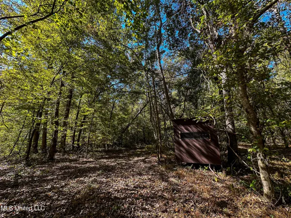 $650,000 | 106 Crockrell Road, Lexington, MS 39095