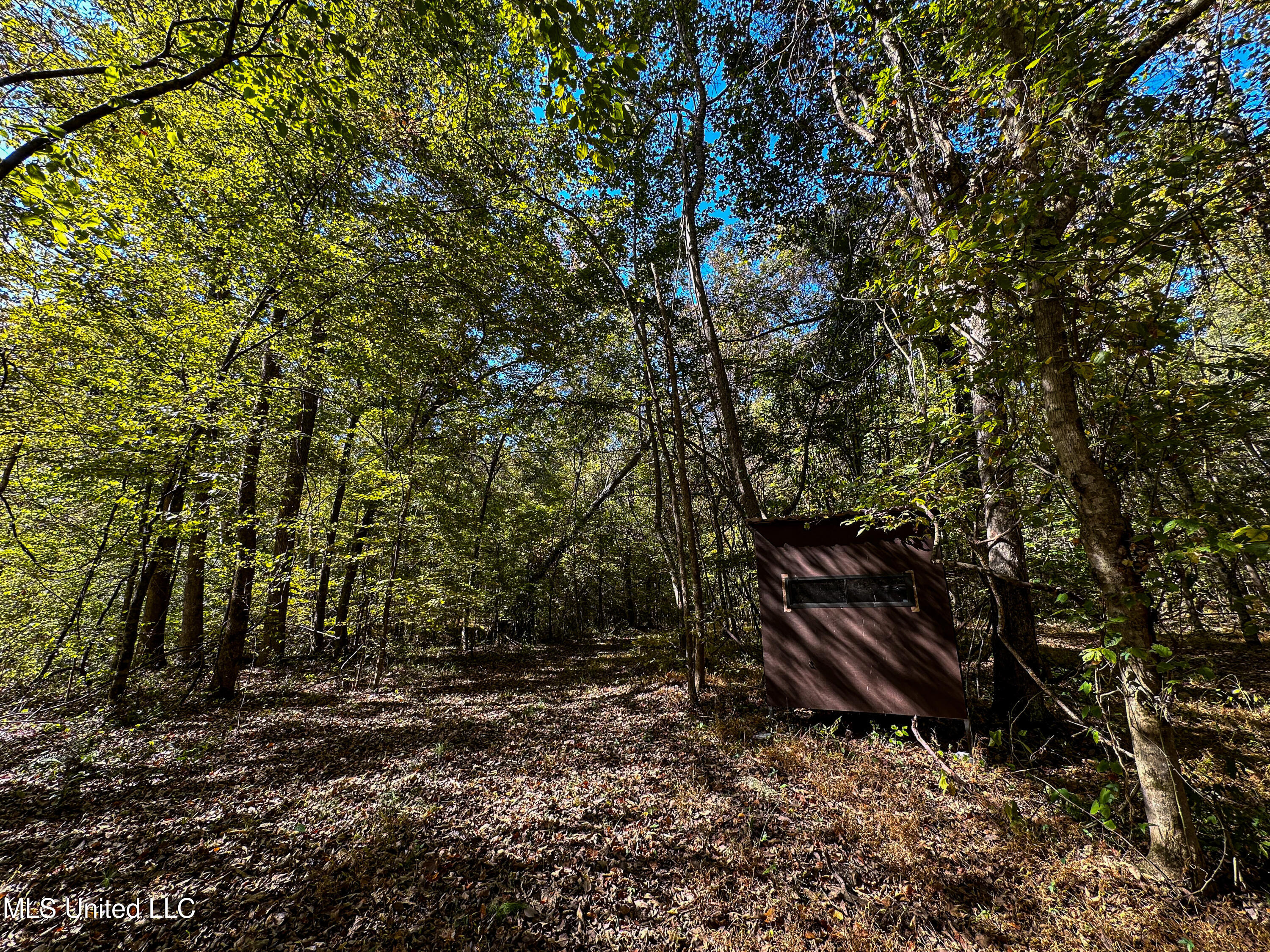 106 Crockrell Road Lexington, MS 39095 - Photo 95 of 185 IMG_0367