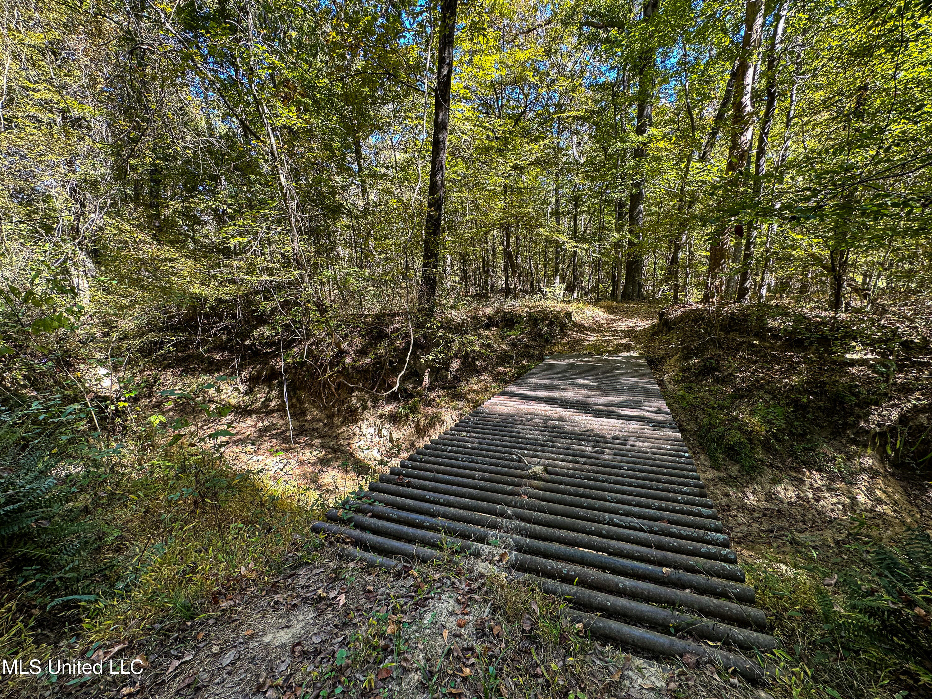 106 Crockrell Road Lexington, MS 39095 - Photo 96 of 185 IMG_0368