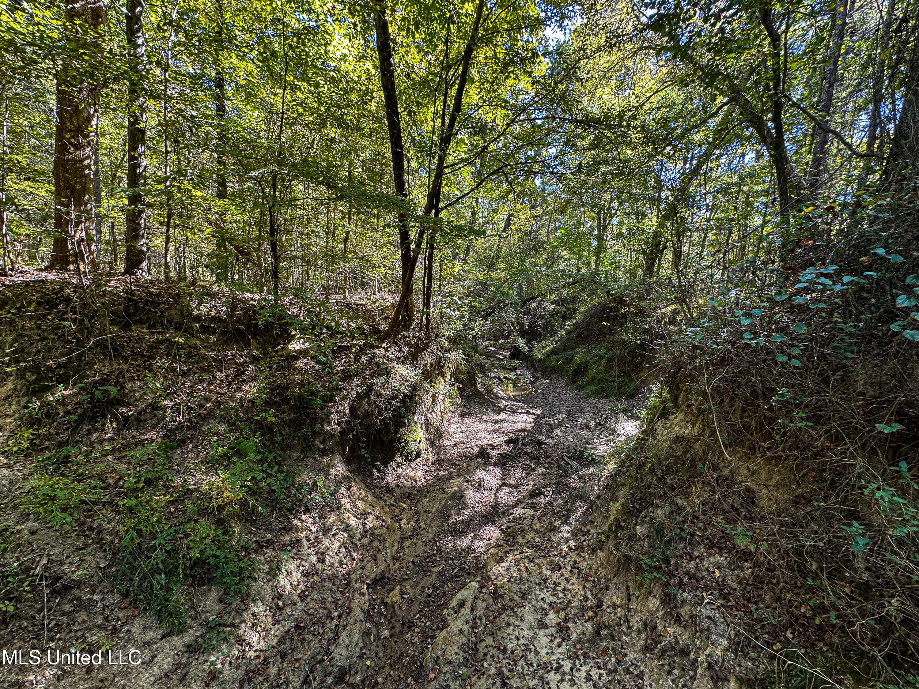 106 Crockrell Road Lexington, MS 39095 - Photo 97 of 185 IMG_0369