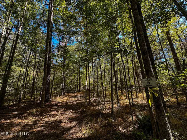 $650,000 | 106 Crockrell Road, Lexington, MS 39095