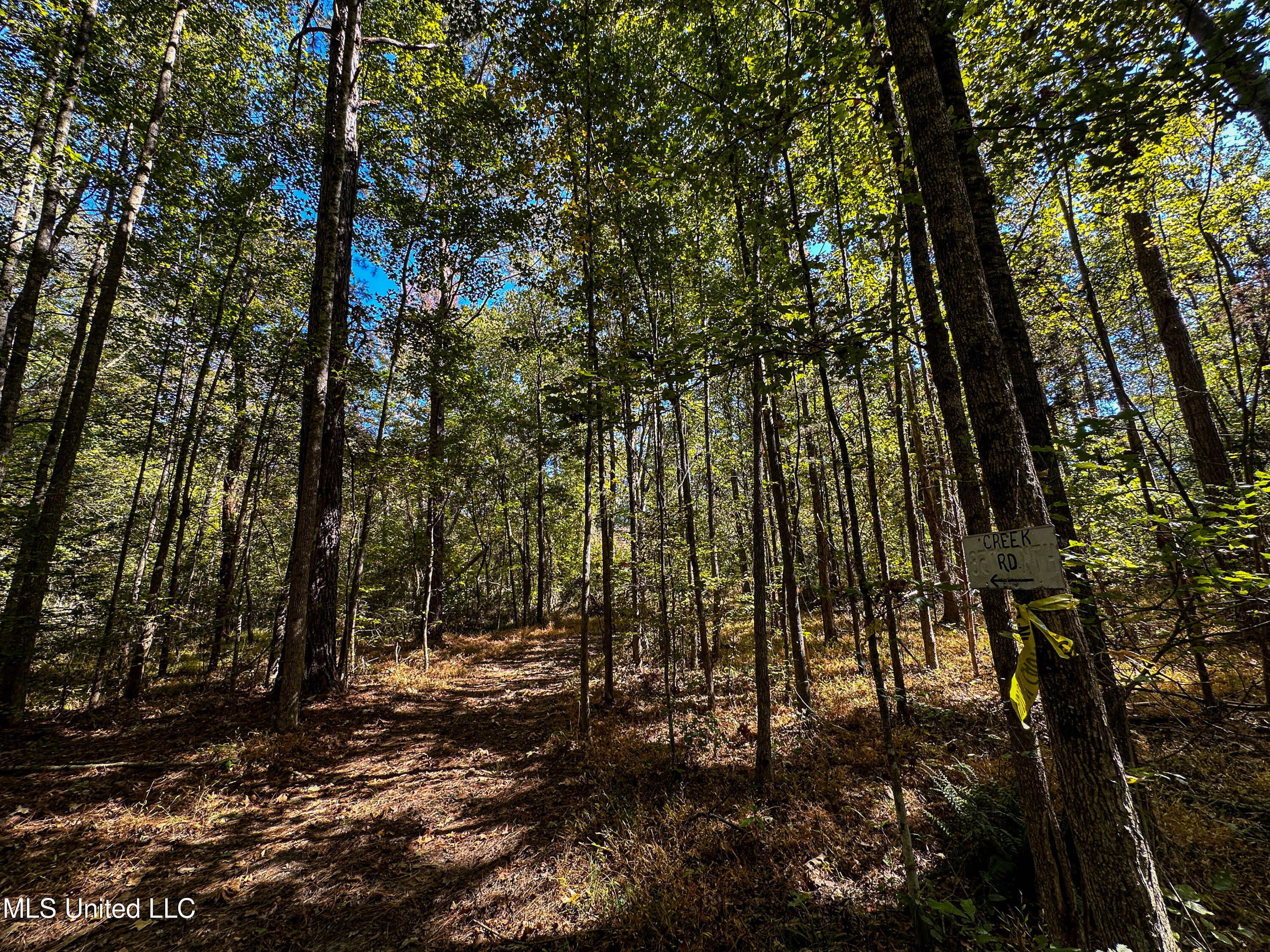 106 Crockrell Road Lexington, MS 39095 - Photo 98 of 185 IMG_0370