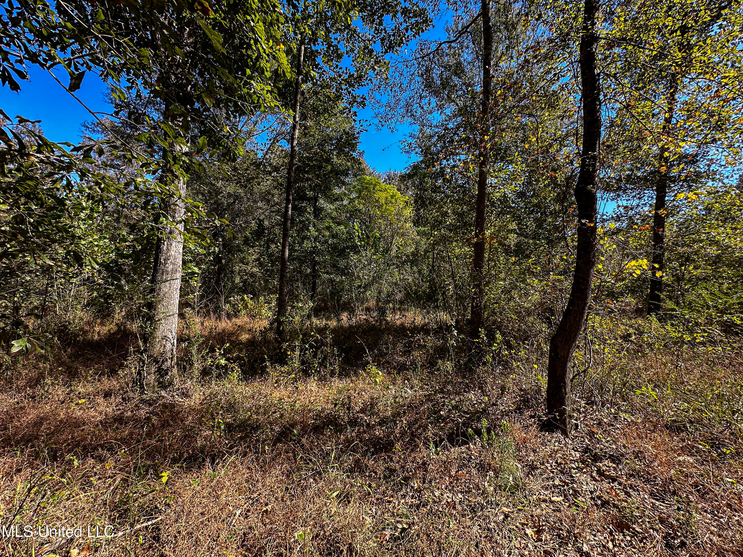 106 Crockrell Road Lexington, MS 39095 - Photo 99 of 185 IMG_0371