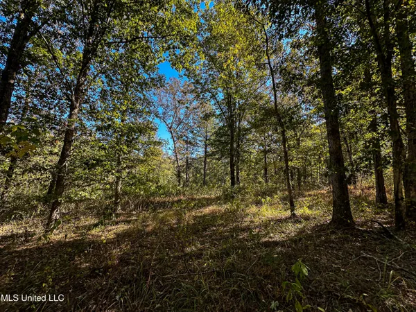 $650,000 | 106 Crockrell Road, Lexington, MS 39095