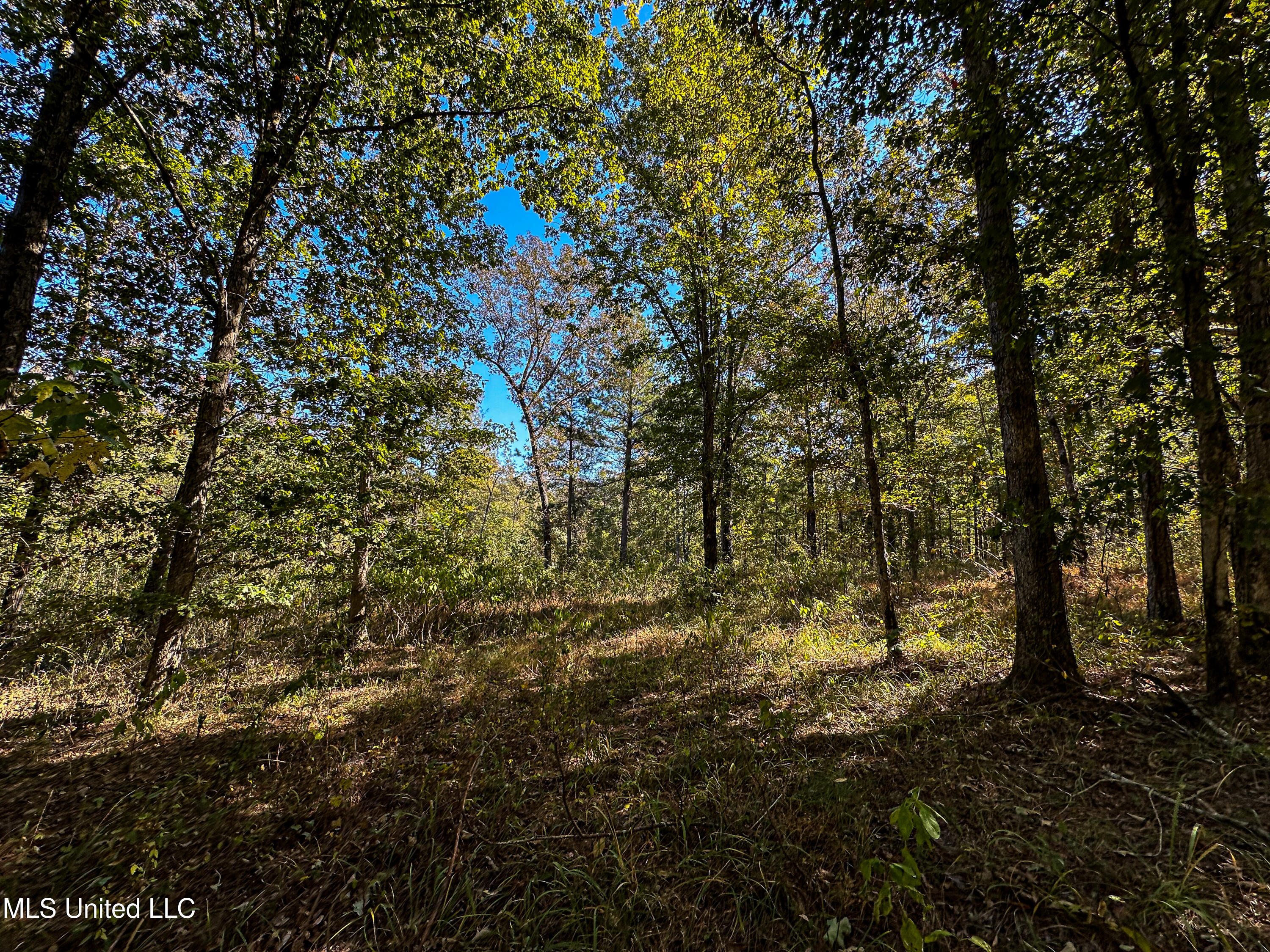 106 Crockrell Road Lexington, MS 39095 - Photo 100 of 185 IMG_0372