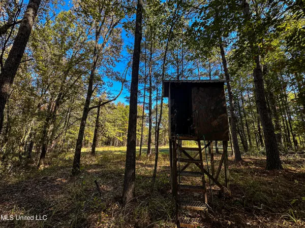 $650,000 | 106 Crockrell Road, Lexington, MS 39095