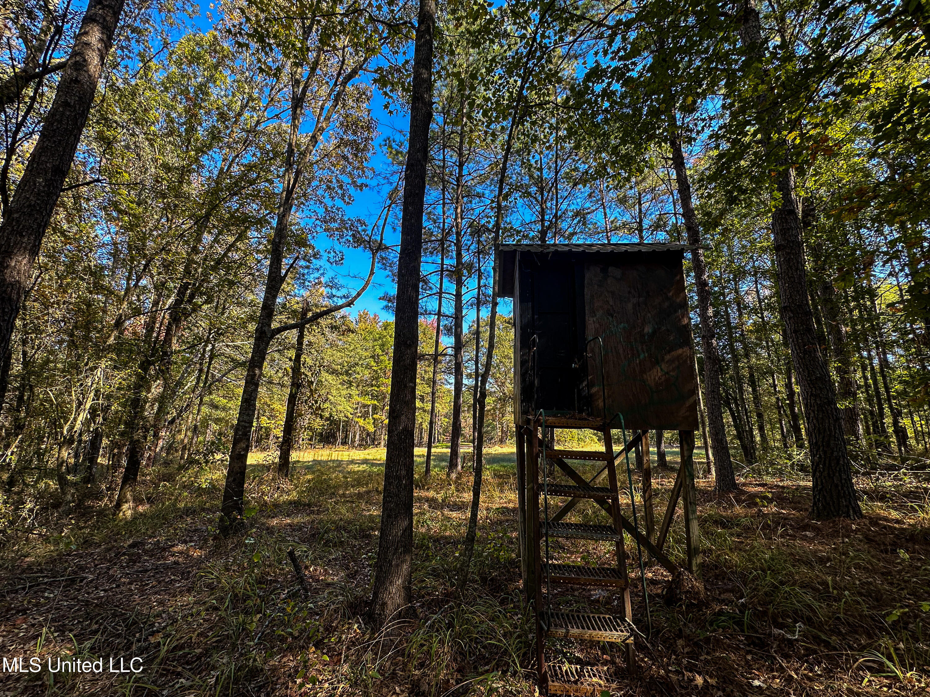 106 Crockrell Road Lexington, MS 39095 - Photo 10 of 185 IMG_0338