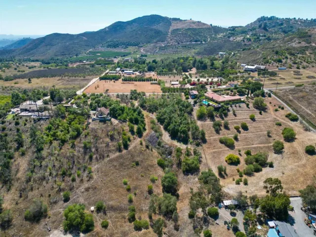 a view of a dry yard with trees