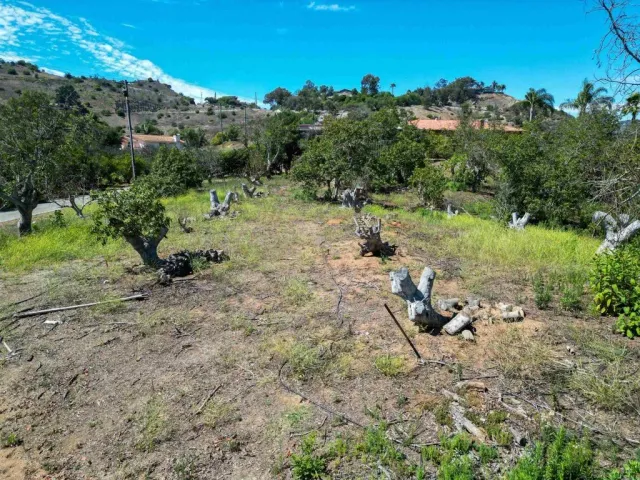 a view of a covered with trees in the background