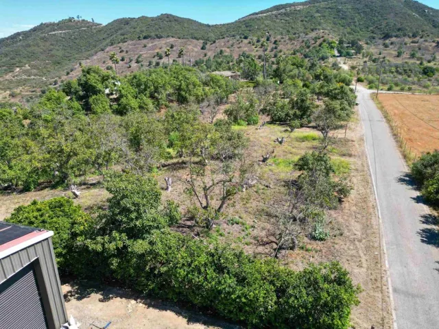 an aerial view of mountain with trees in the background