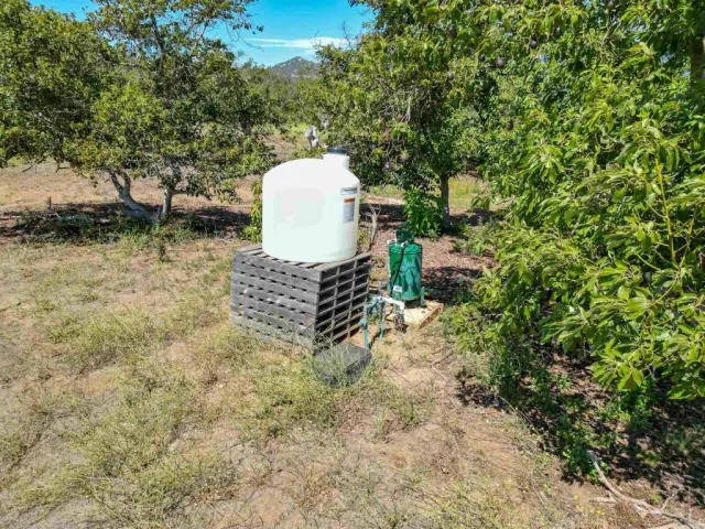 a view of a bunch of trees