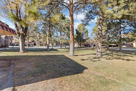 a view of yard with tree