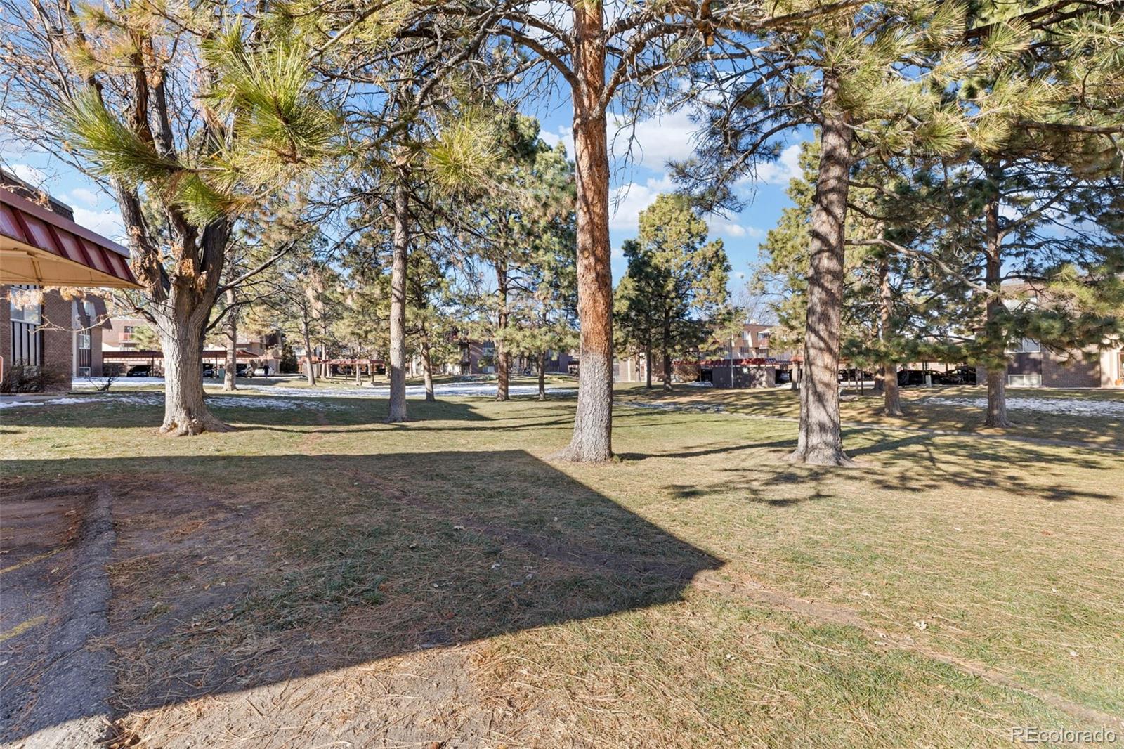 7755 East Quincy Avenue, Unit 303A5 Denver, CO 80237 - Photo 30 of 35 a view of yard with tree