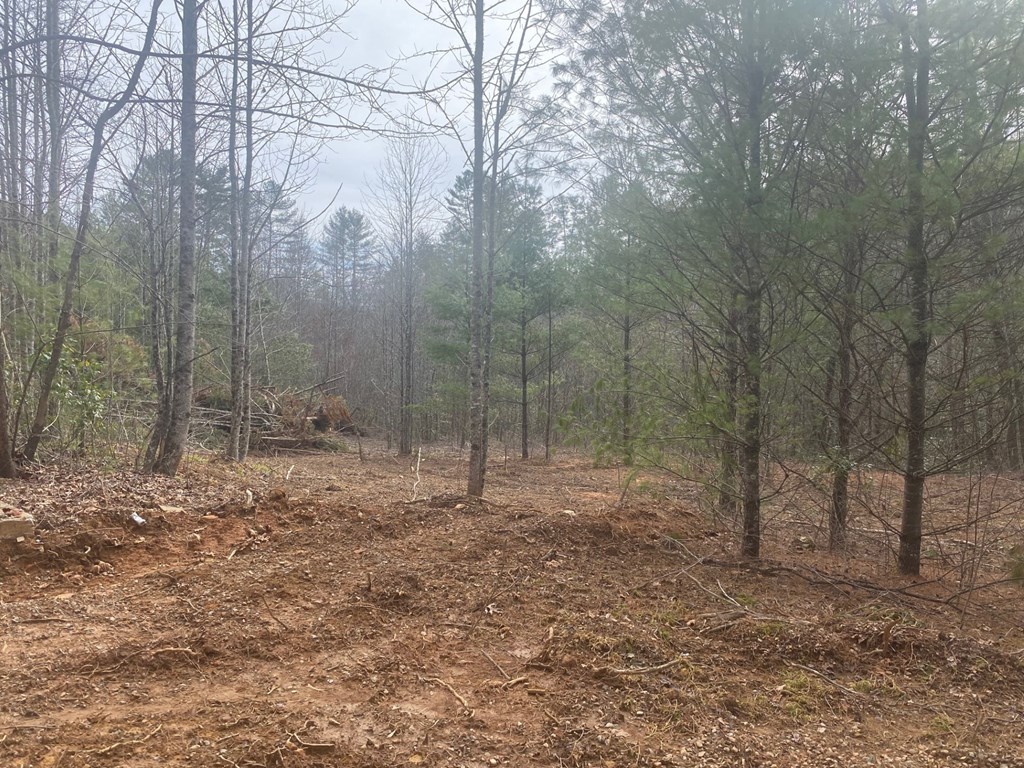 0 Flea Mountain Road Murphy, NC 28906 - Photo 4 of 54