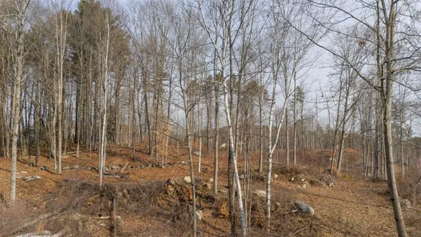 $250,000 | Lot 23 Sunapee Street, Newport, NH 03773