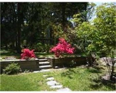 8 Alden Road Wareham, MA 02571 - Photo 2 of 28 a small garden covered with tall trees