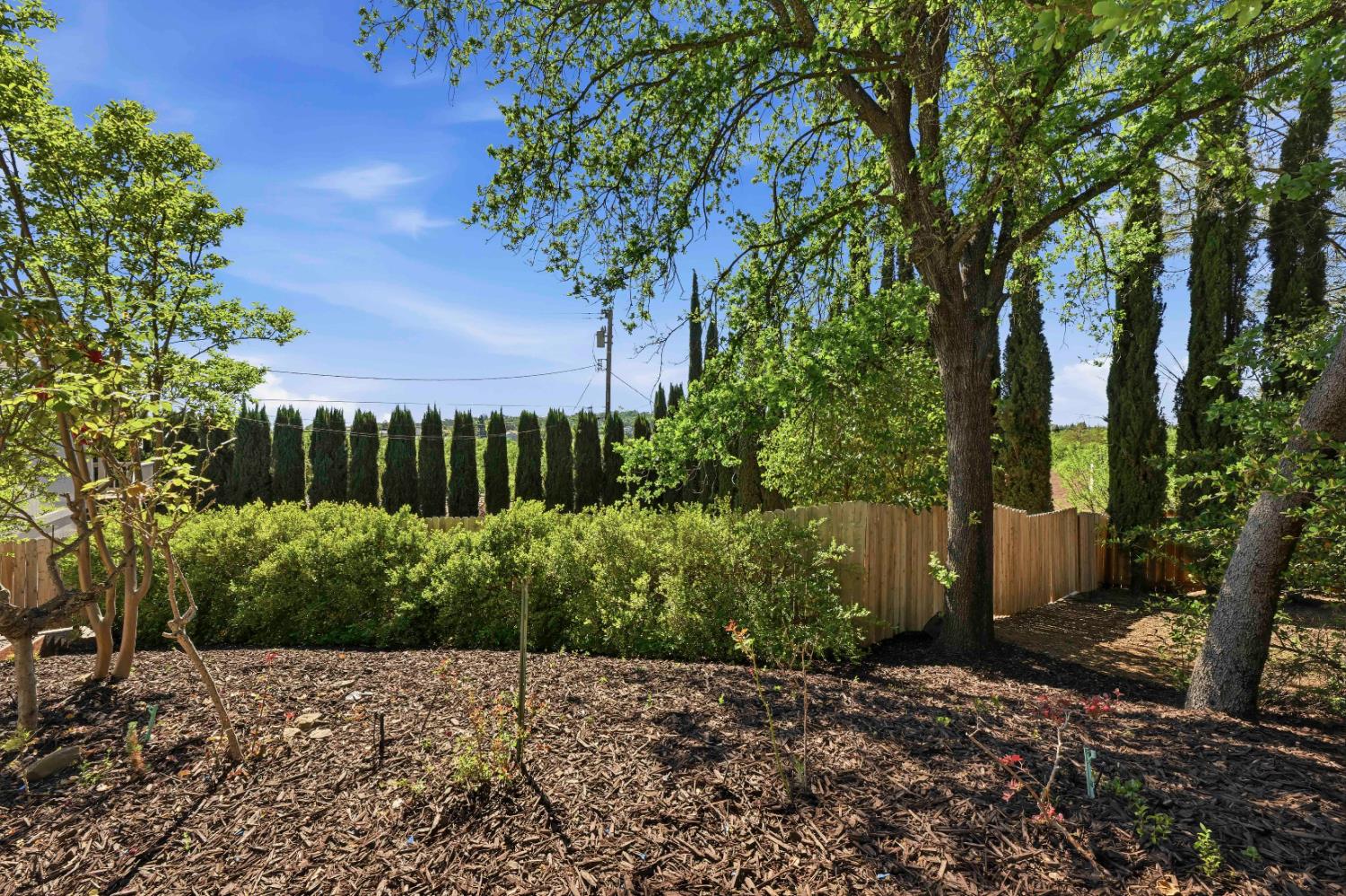 3020 Oakwood Road Cameron Park, CA 95682 - Photo 5 of 51