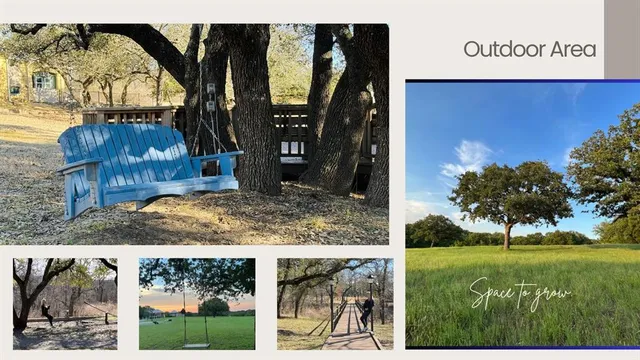 a view of a bench in a garden
