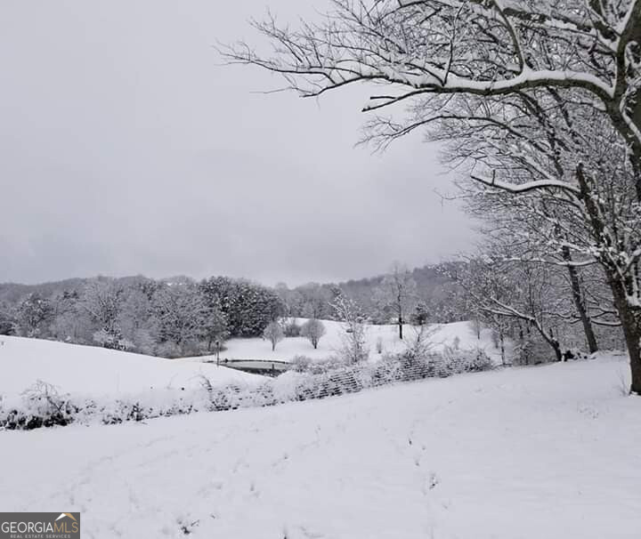 575 Joe Turner Road Cleveland, GA 30528 - Photo 18 of 22